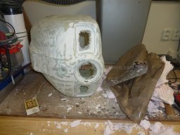 Engine cowl (21)